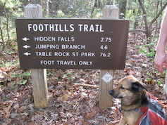 Charlie Dog on the Foothills Trail